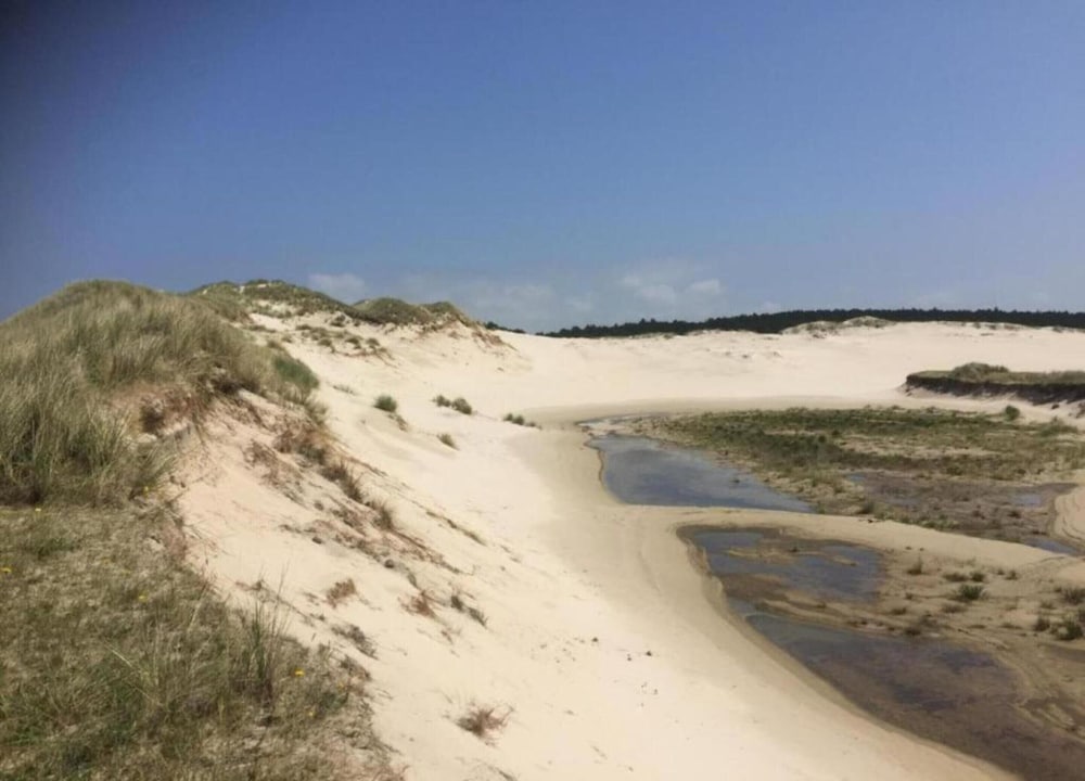 Apartment in Bergen Near Schoorl Dunes view 4