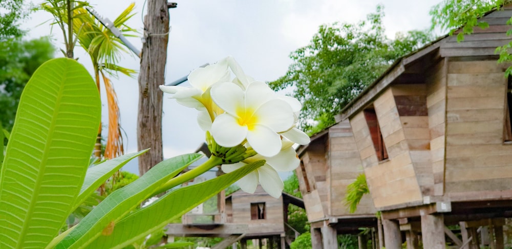 Bortong Thailue Resort