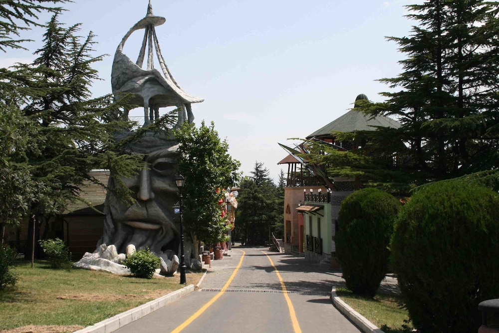 Photo 21