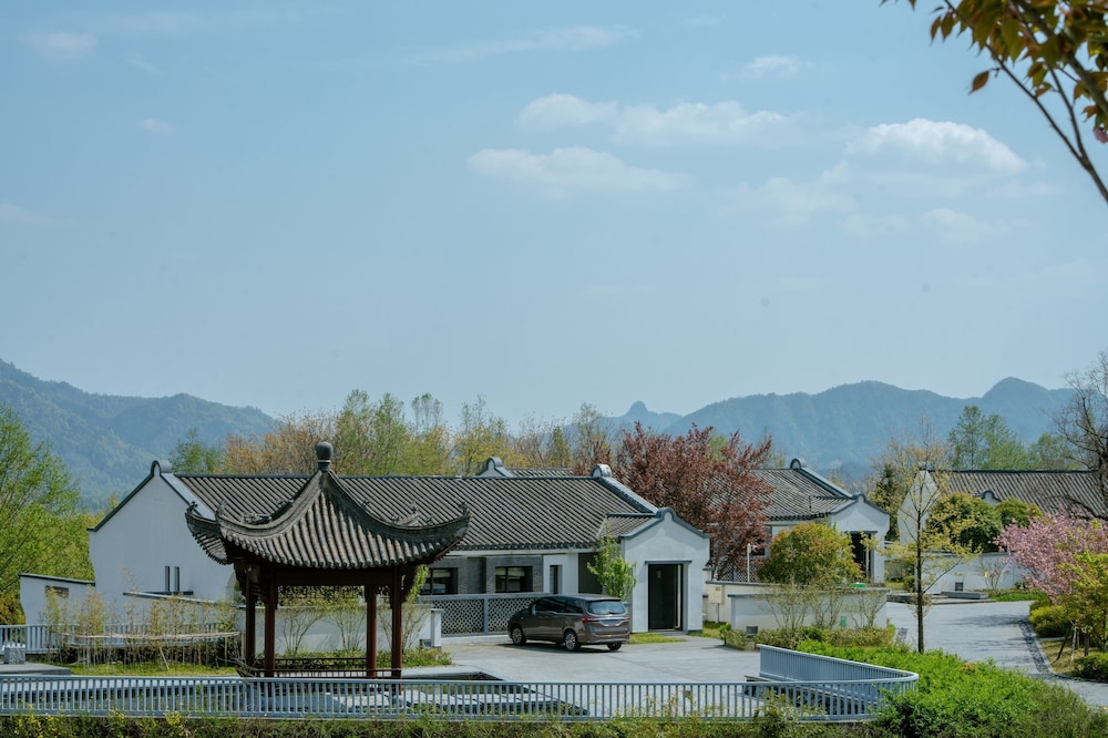 Banyan Tree Huangshan