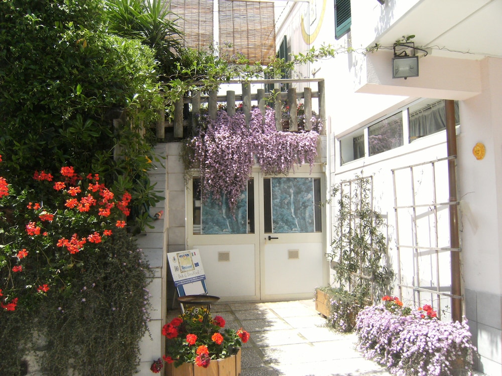 Photo 48