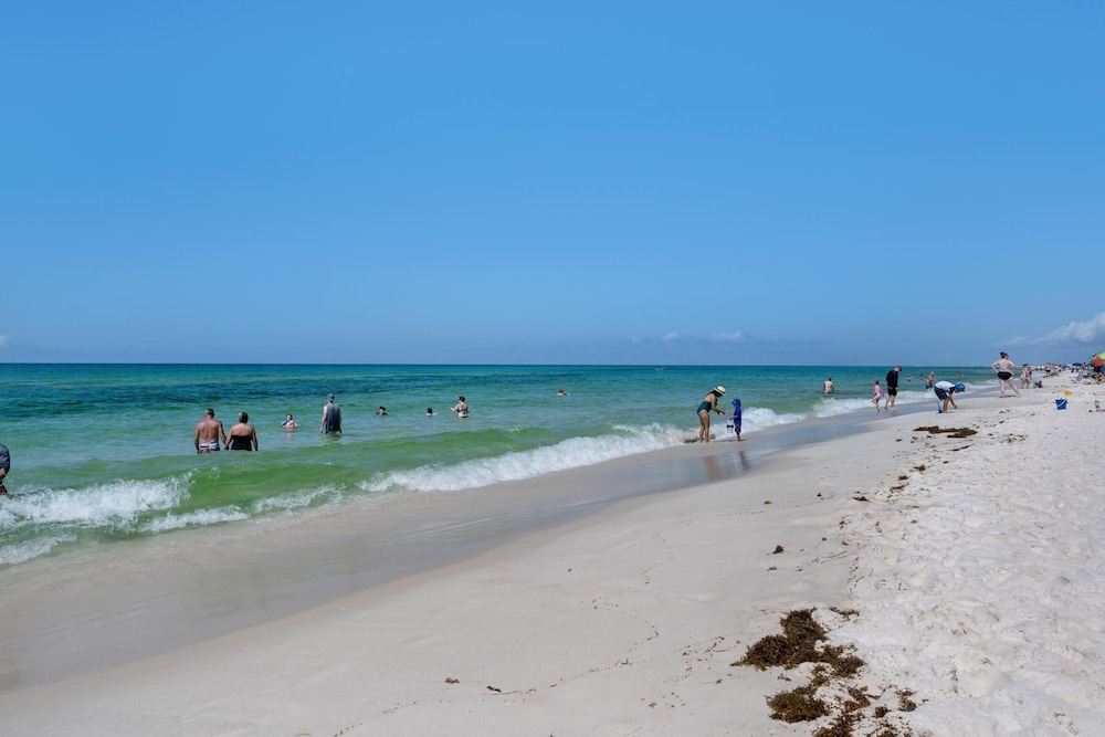 Pelican Isle 411