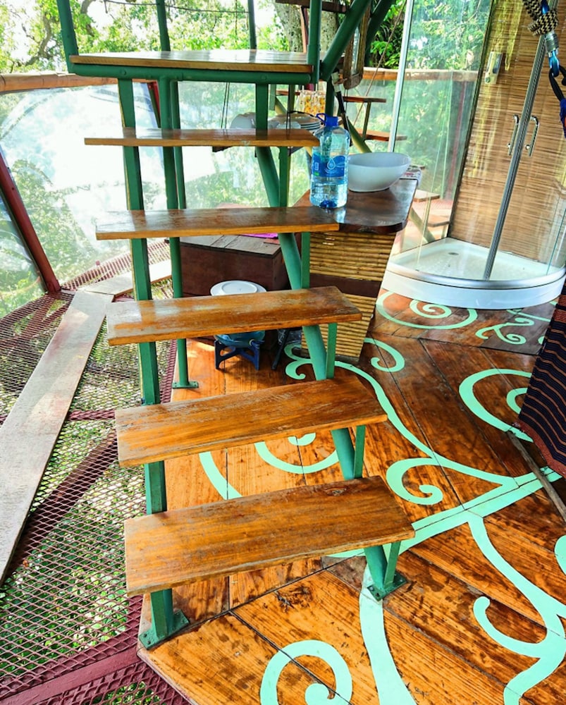 Nature Observatorio Amazing Treehouse