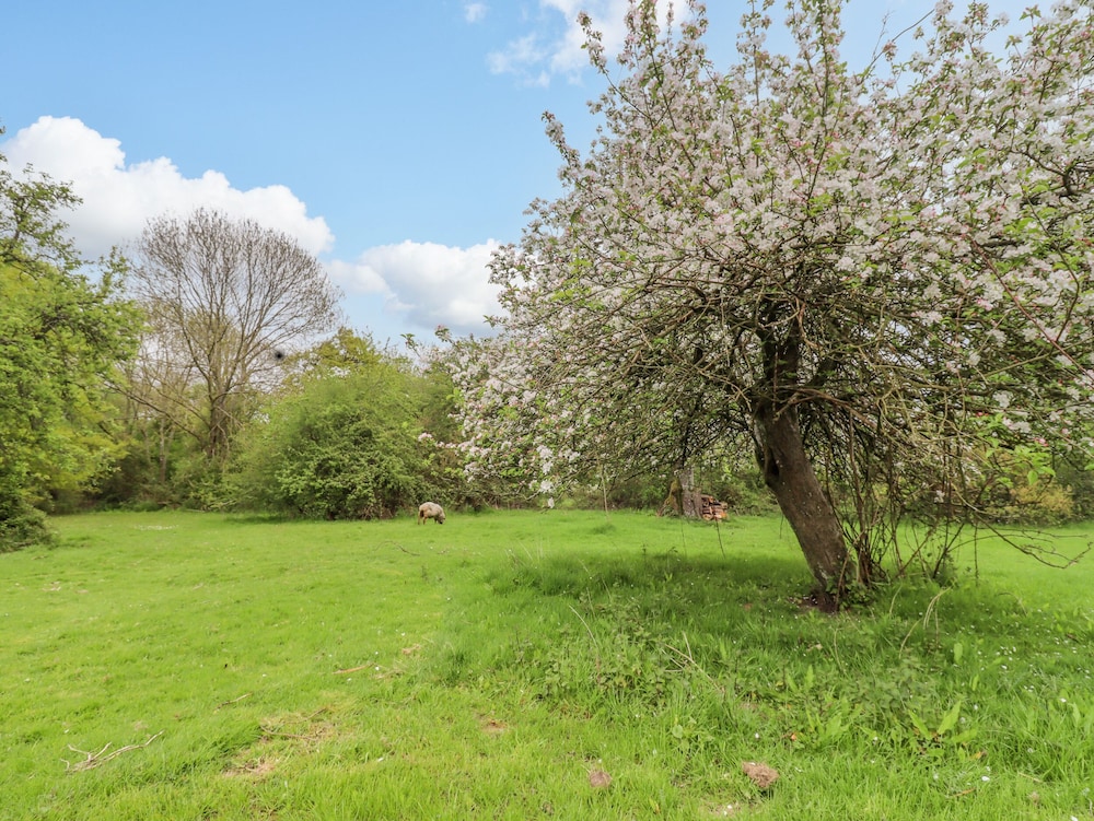 Meadow Lodge @ Berrys Place Farm