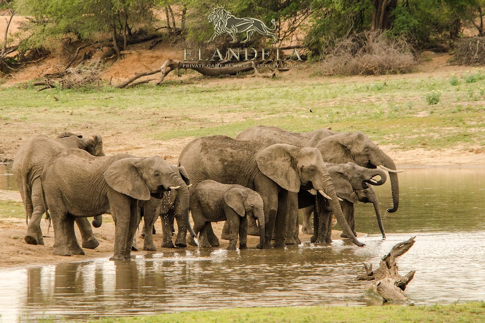 Elandela Private Game Reserve & Luxury Lodge
