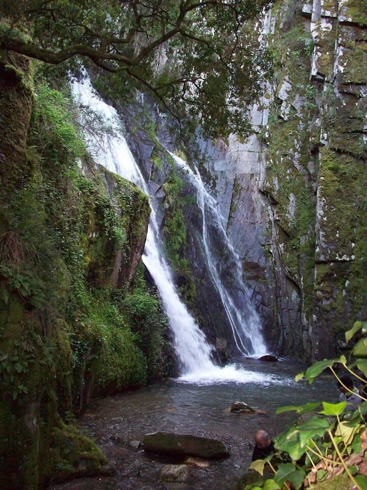 Photo 43