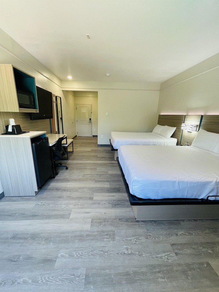 Sonesta Essential Hotel Houston-I-45 Spring view 3