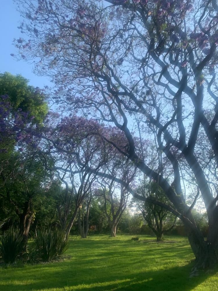 Hacienda Tzintzimeo - Property Image 23