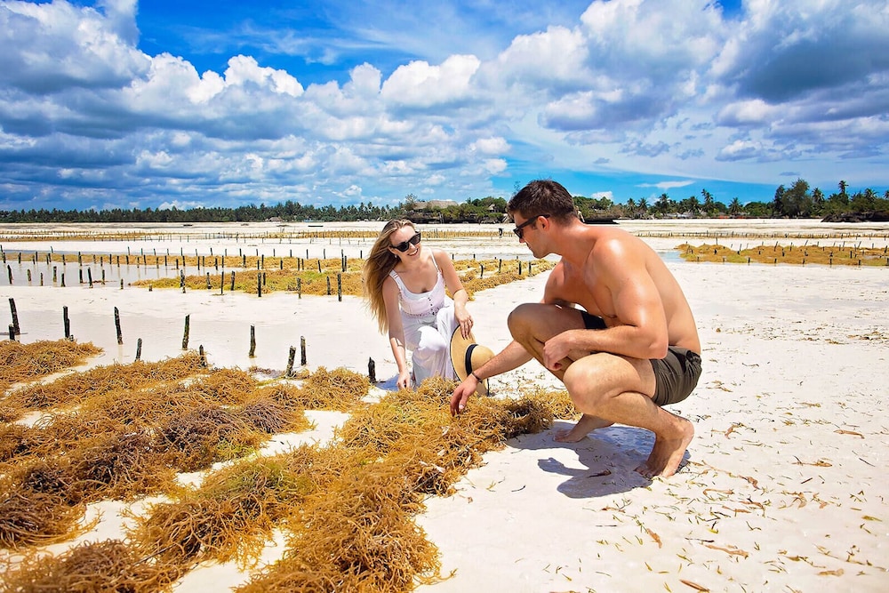The Island - Pongwe Lodge - Adults Only