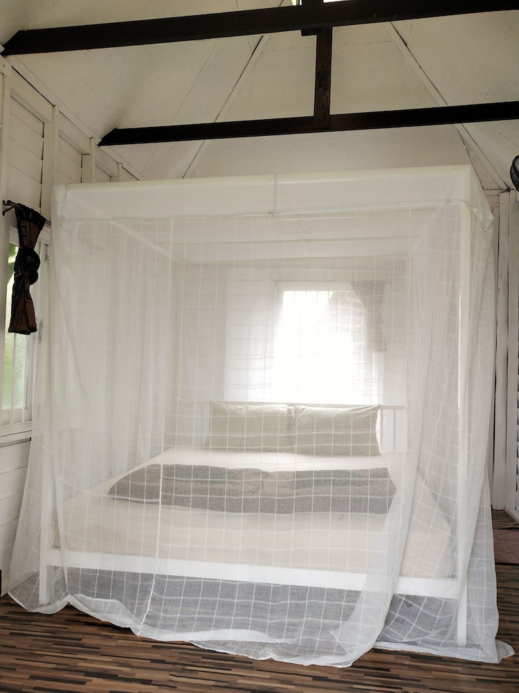 Canary Guesthouse