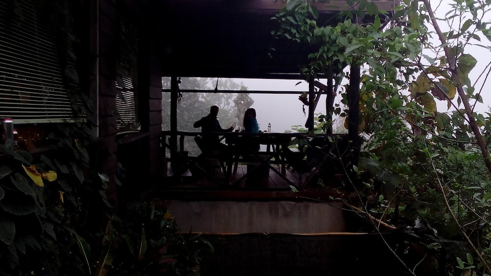 The Local Story Home Stay 1
