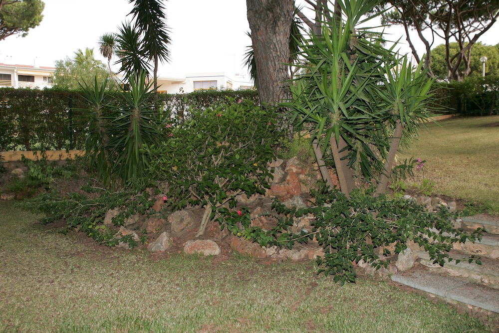 Photo 24