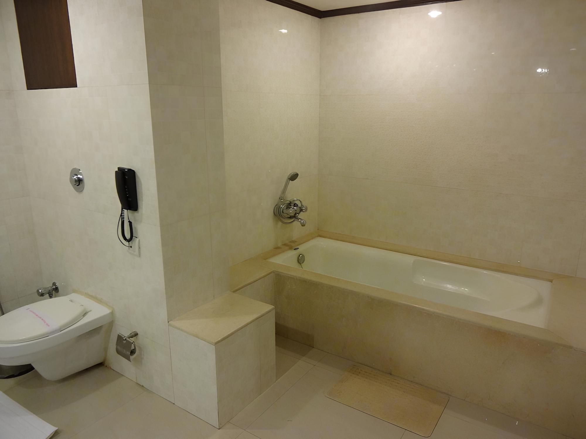 The Hotel Hindusthan International