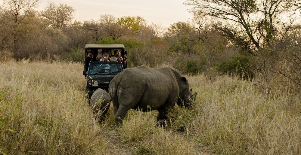 Elandela Private Game Reserve & Luxury Lodge