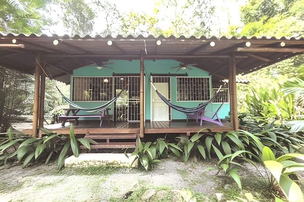 Jungle Dreamz