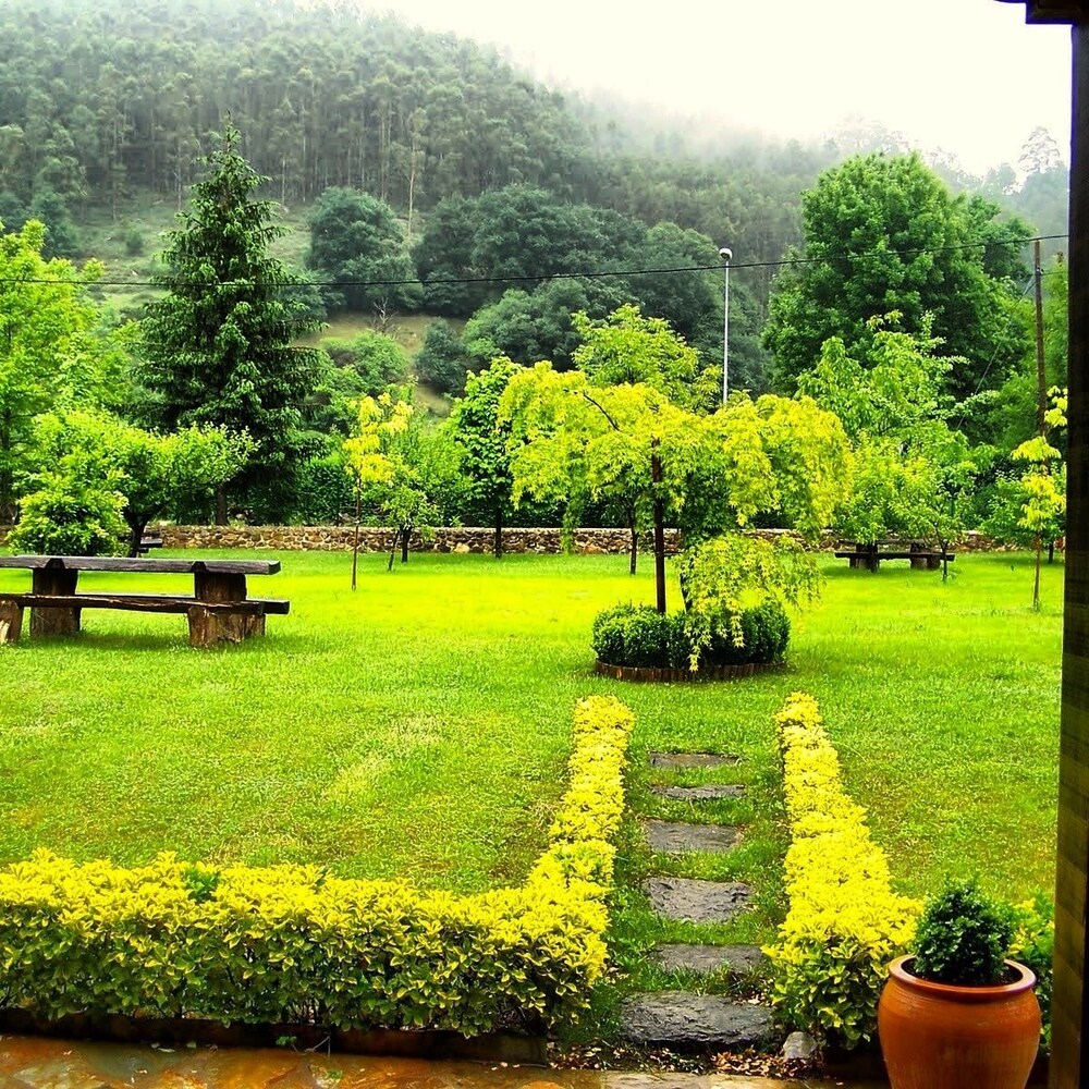 Photo 14