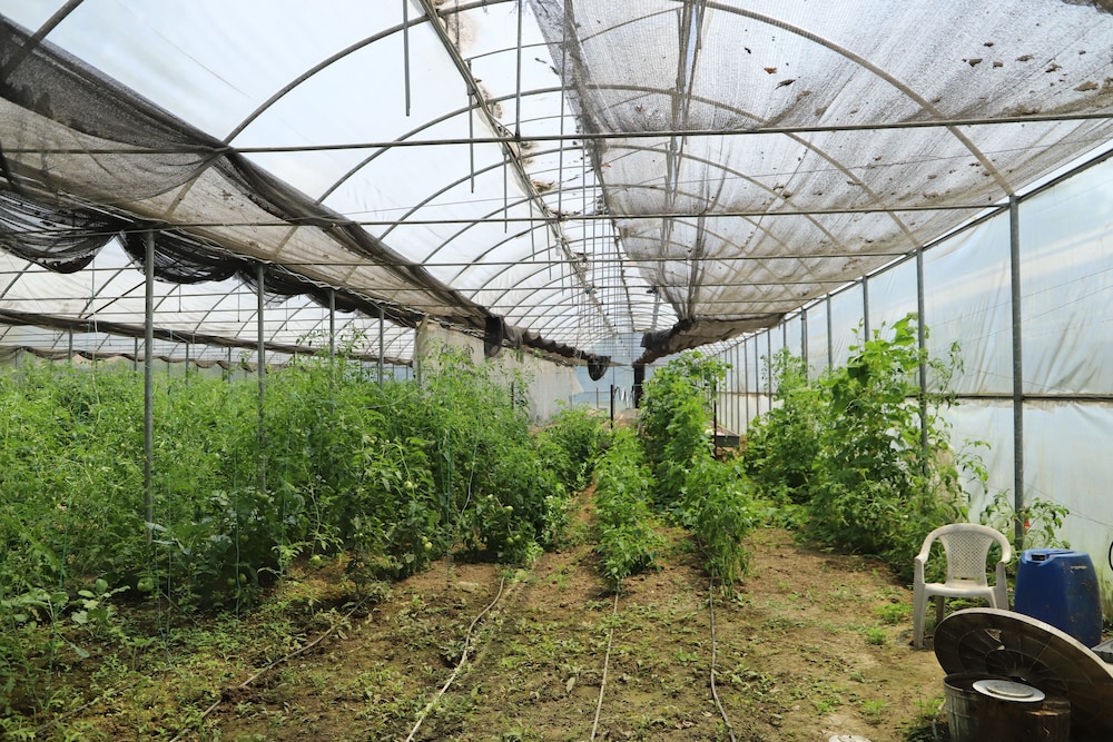 Filyos Ecopark - Property Image 21