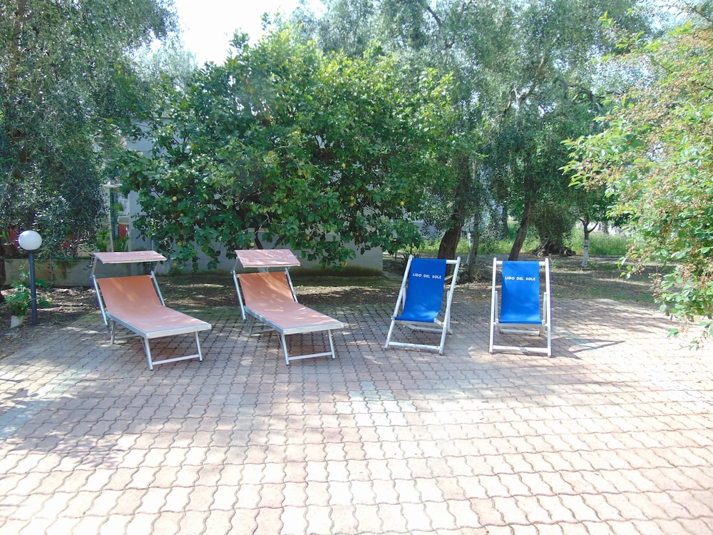 Photo 21
