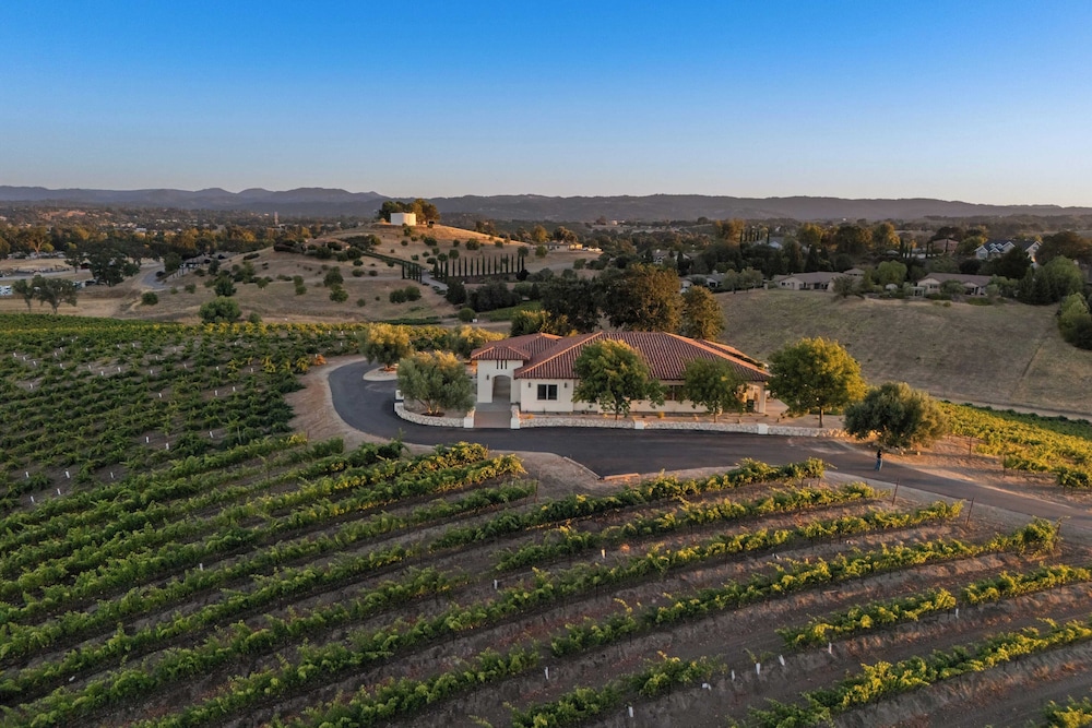 Wine Country Escape w/ Views + Wine Cellar & Gym Caterina Dusi Vineyard by Avantstay