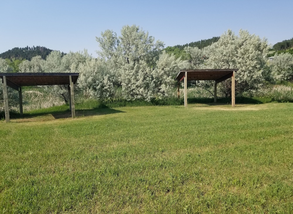 Suzies Camp