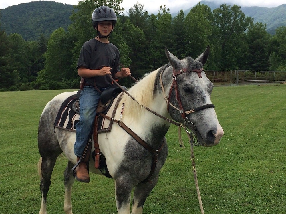 Pisgah View Ranch