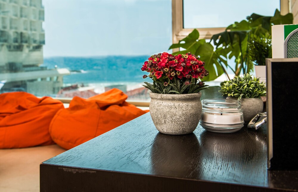 One of a Kind Gordon Beach Front 2BR Apt