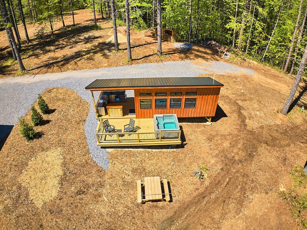 Pond And Pine