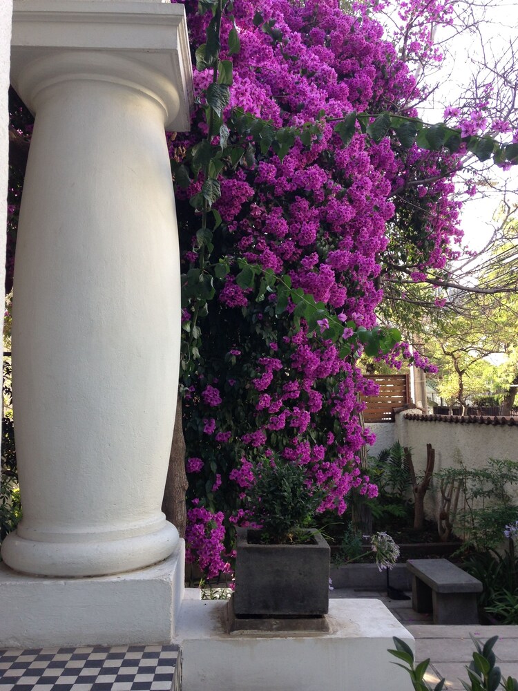 Photo 45