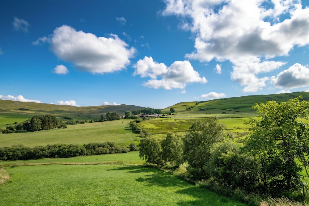 Fron Dderw