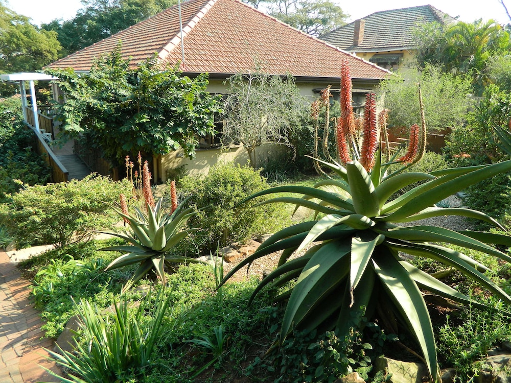 Mackaya Bella Guest House