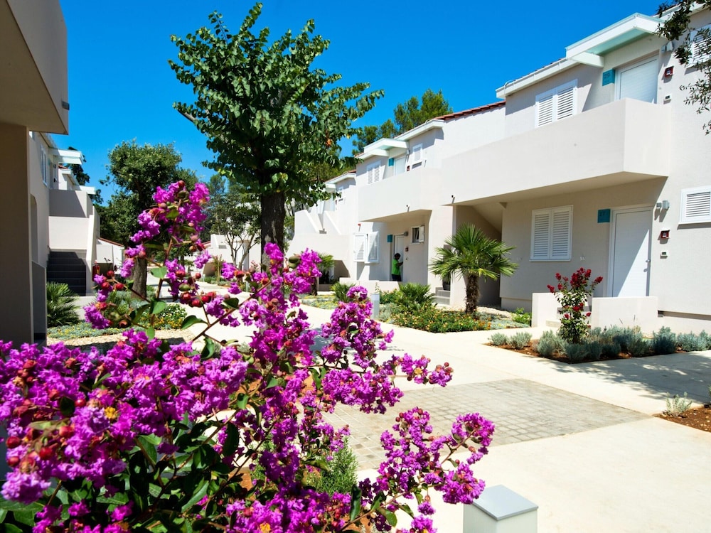 Apartment in Zaton Nin for 6 Person