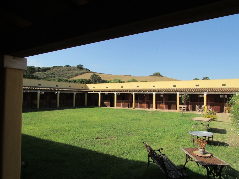 Cavalli di S'Arcaite