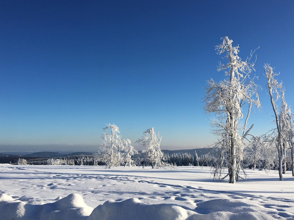 Apartment in Winterberg
