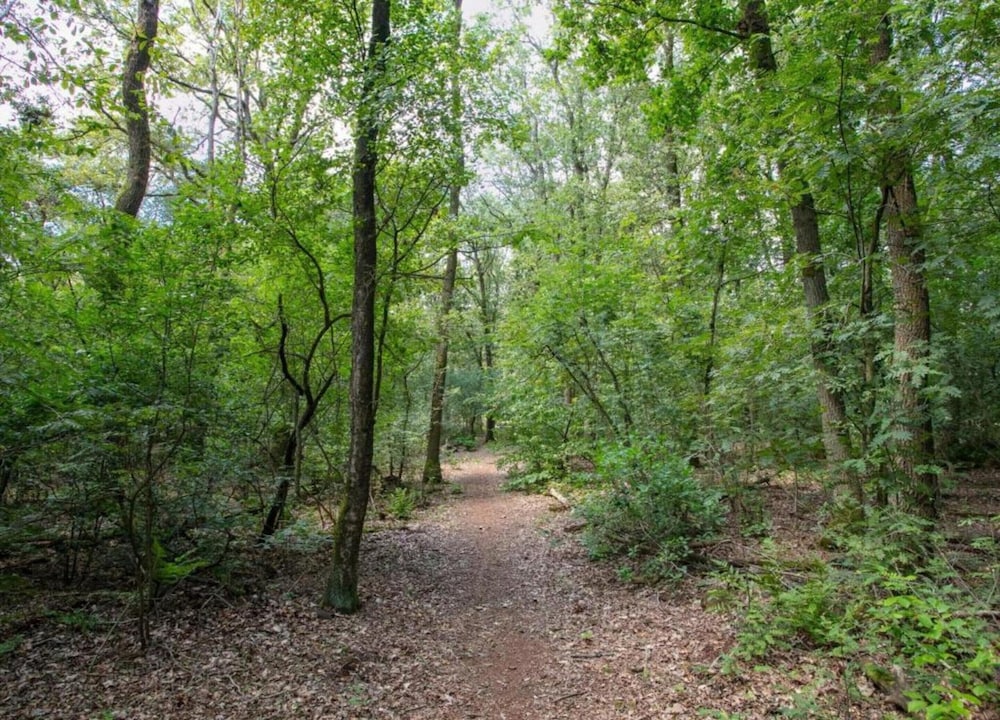 Lodge in Schaijk Near Green Forests