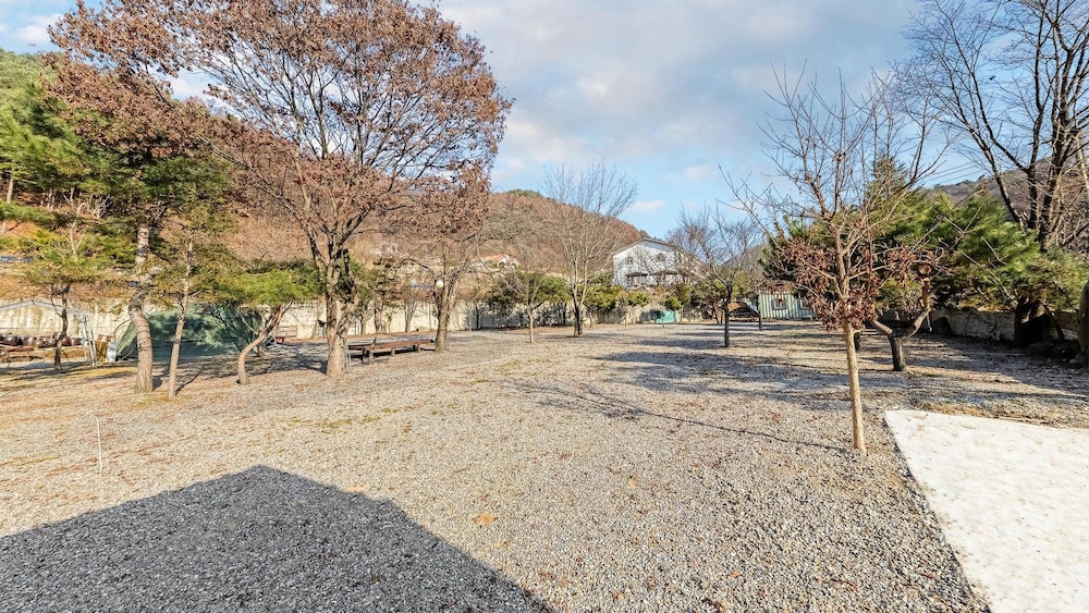 Gapyeong Dolgungpensyeon&kaempingjang view 3