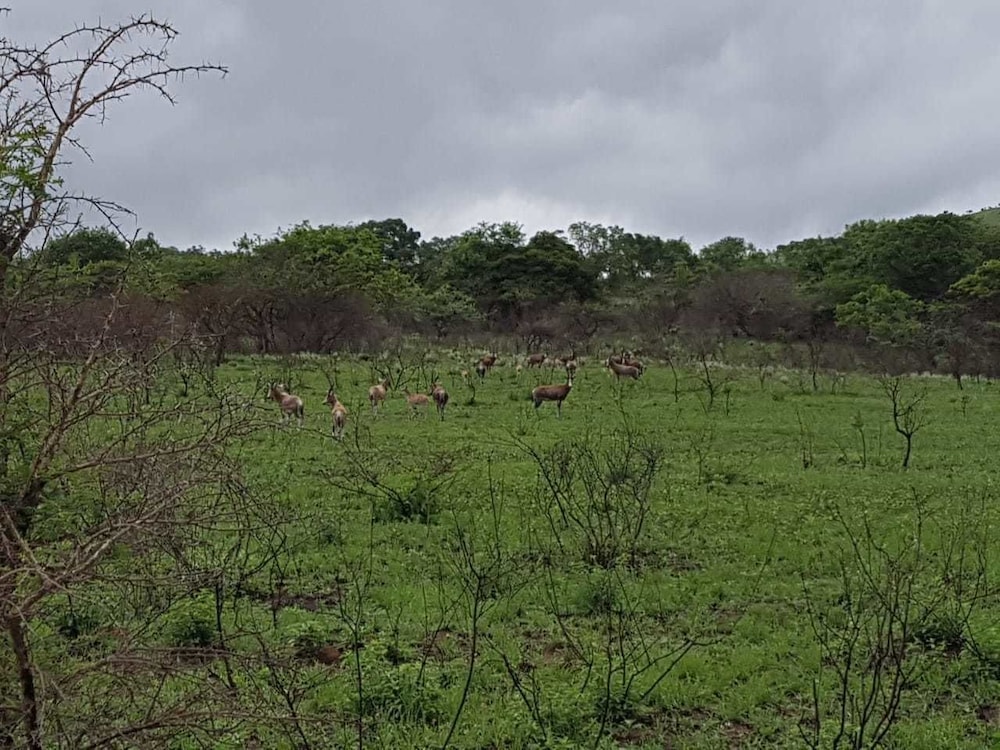 Camissa Tented Camp view 5