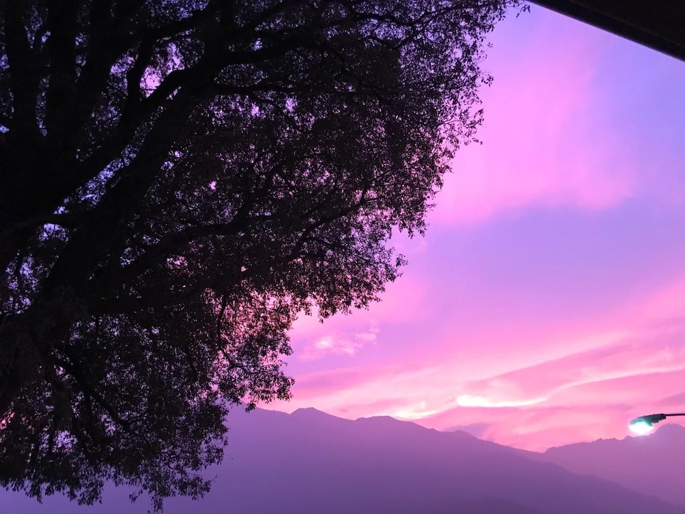 B&B L'Albero Maestro, Billede 24
