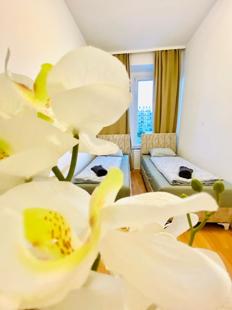 5 Bedroom Apartment near Schonbrunn