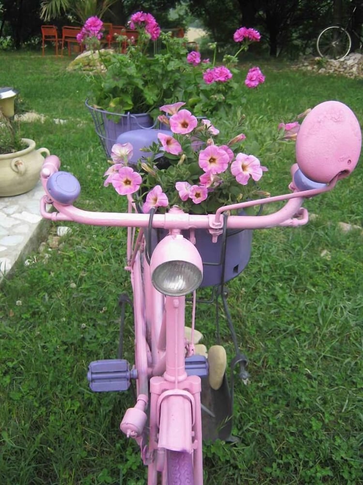 Photo 28