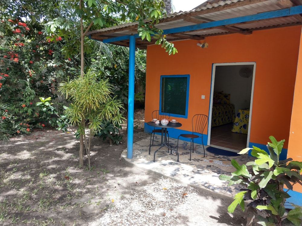 Photo 11