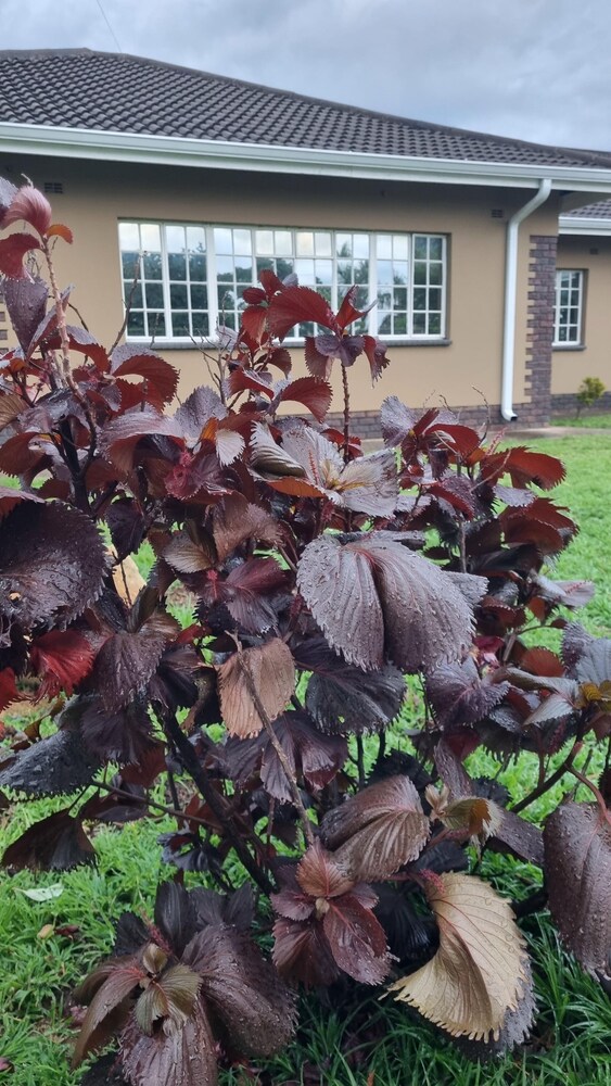 2br/cottage/swimming Pool/near Airport