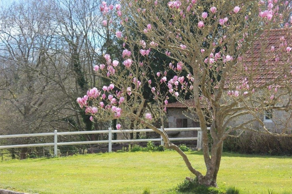 Chambres d’Hôte Manoir de Kerliviry