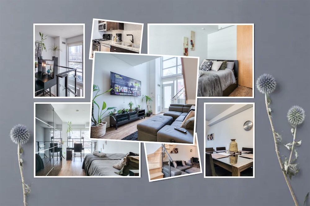1 Shaw St Loft Suites