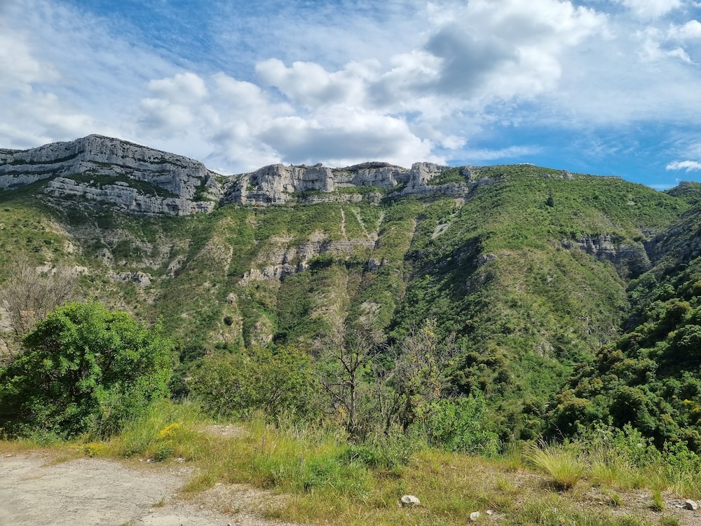 2800 Chemin du Landre view 5