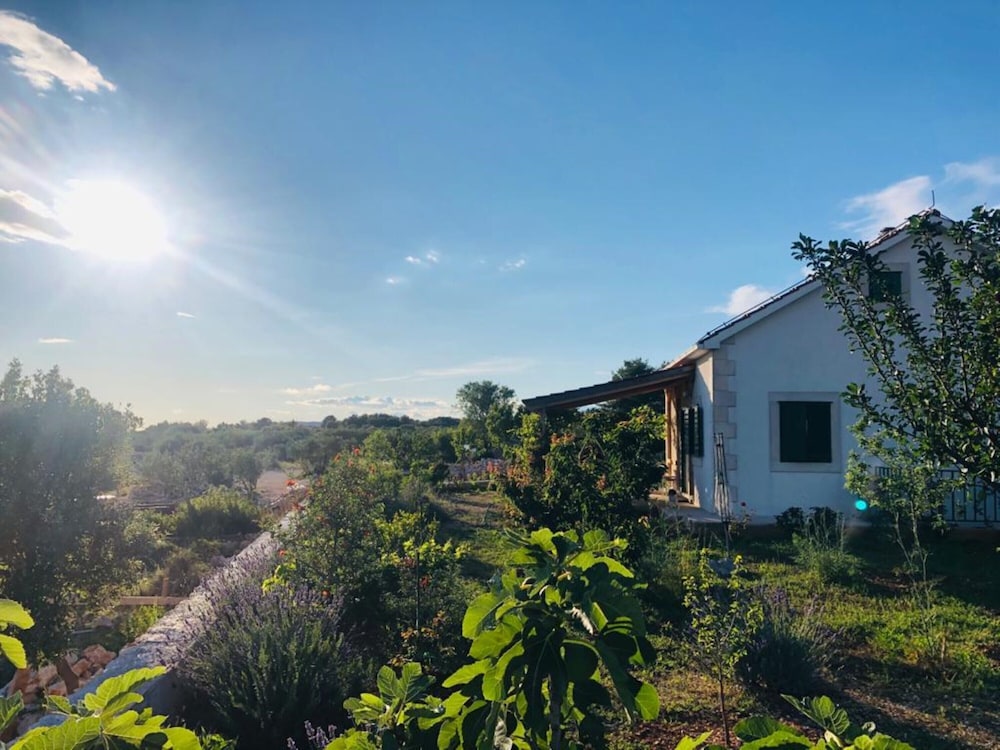 New Modern House in a Quiet Island Area w. Garden view 5