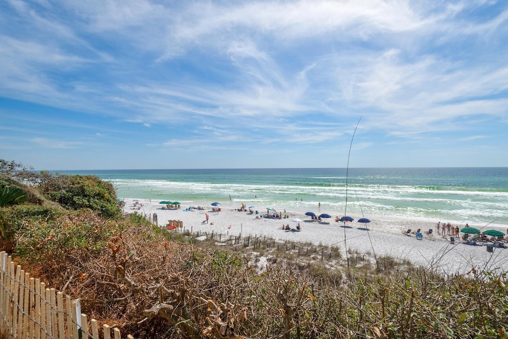 Butterfly Bluff