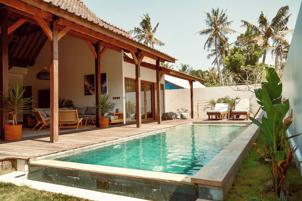 Palm Paradise view 4