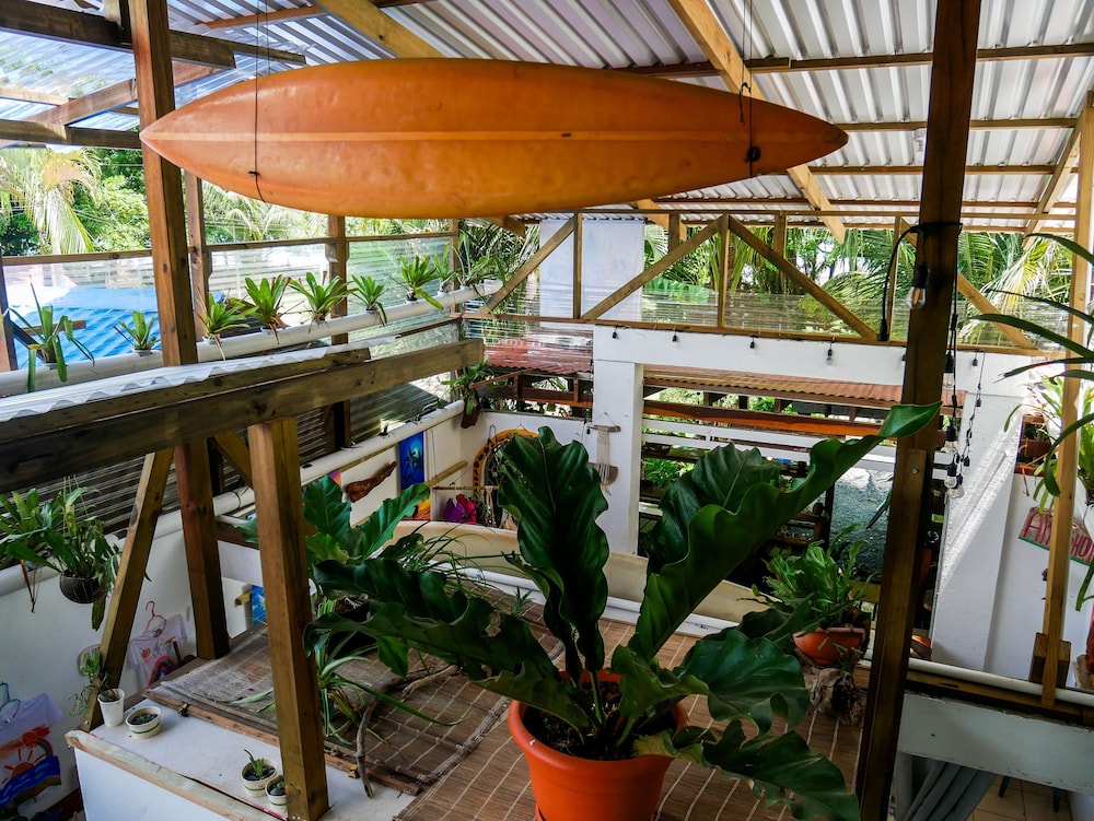 surfhouse pavones