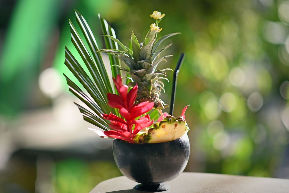 Y Resort Ubud