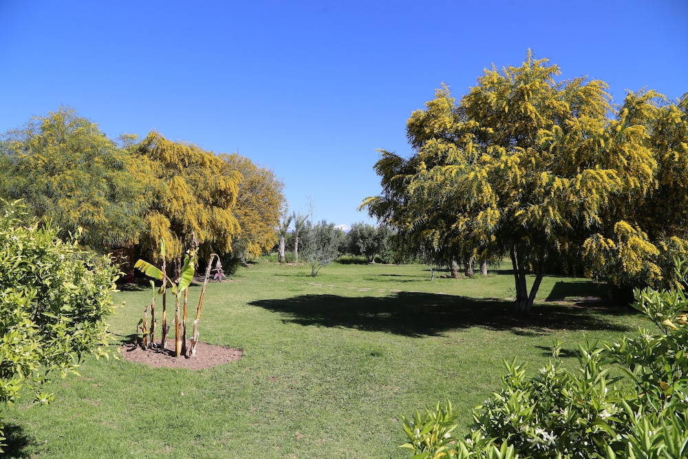 Photo 45